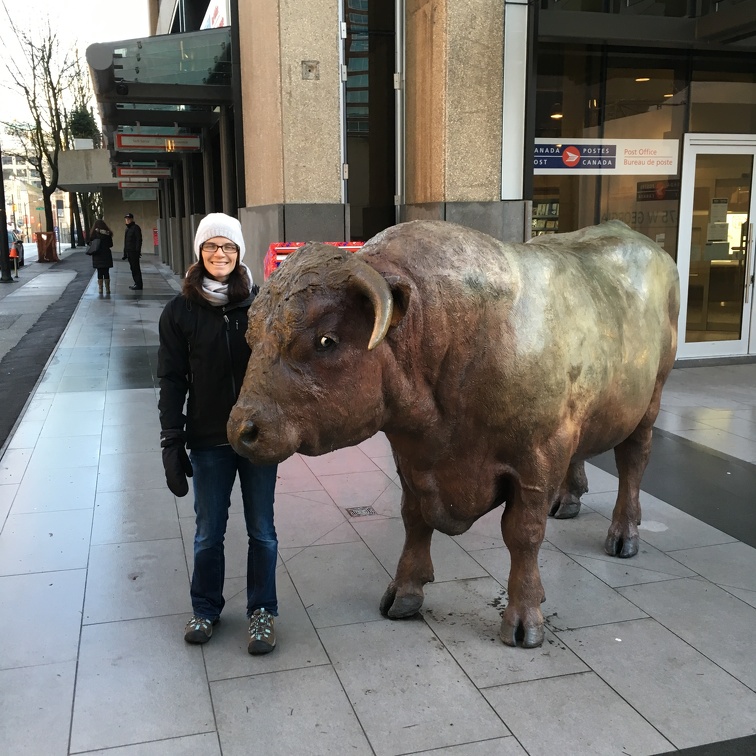 Erynn and a bull